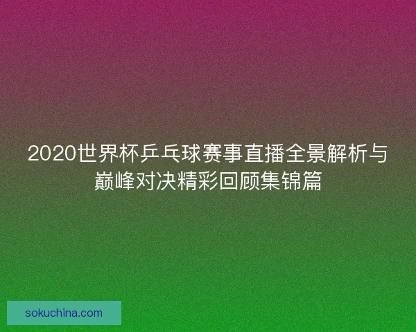 2020世界杯乒乓球赛事直播全景解析与巅峰对决精彩回顾集锦篇