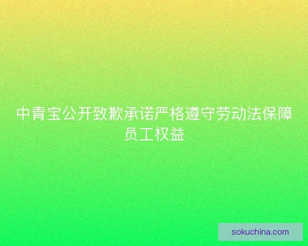 中青宝公开致歉承诺严格遵守劳动法保障员工权益