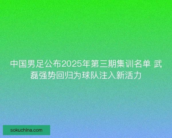 中国男足公布2025年第三期集训名单 武磊强势回归为球队注入新活力